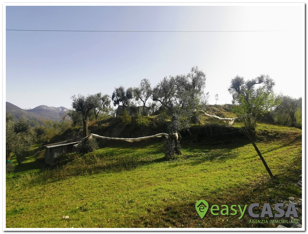 Terreno agricolo a Montecorvino Rovella (SA)