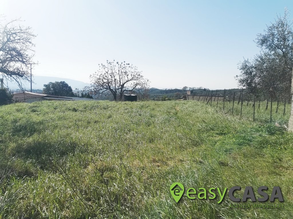 Terreno edificabile a Montecorvino Rovella (SA)