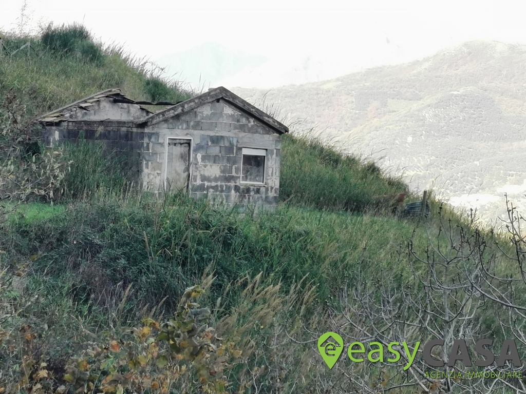 Terreno agricolo con rudere a Montecorvino Rovella (SA)