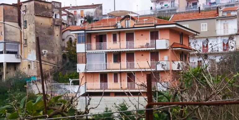 WhatsApp Image 2026-03-20 at 11.54.43