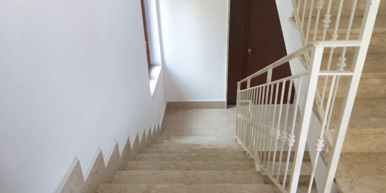 WhatsApp Image 2026-03-20 at 11.54.46 (4)