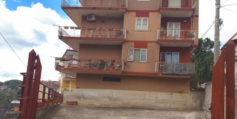 WhatsApp Image 2026-03-27 at 12.03.36