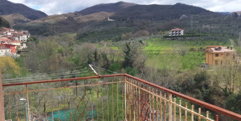 WhatsApp Image 2026-03-27 at 12.05.14 (2)