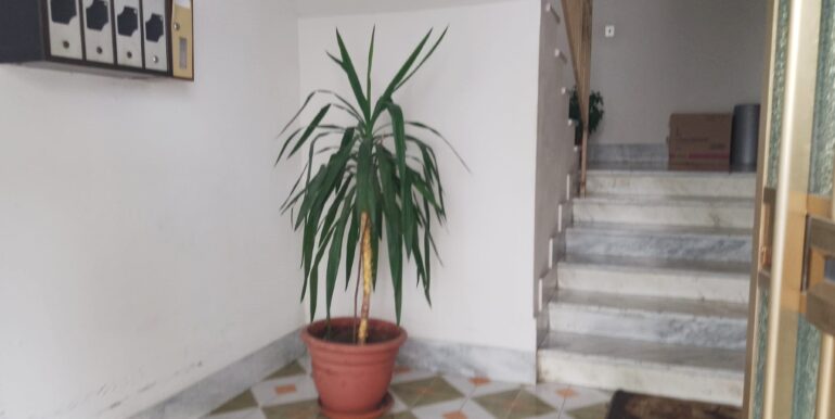 WhatsApp Image 2026-03-27 at 12.05.22 (6)