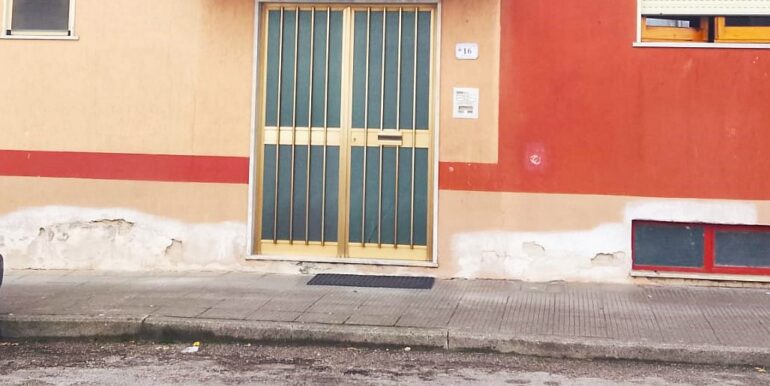 WhatsApp Image 2026-03-27 at 12.05.23 (1)