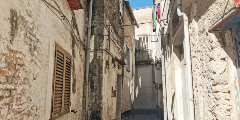 IMG_20251104_113741 - Copia (2)
