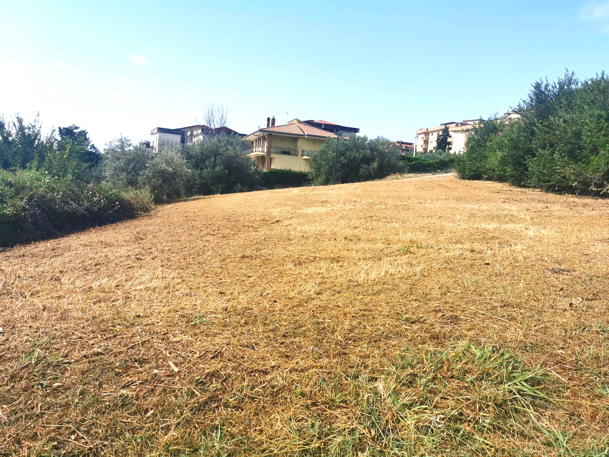TERRENO EDIFICABILE A MONTECORVINO ROVELLA
