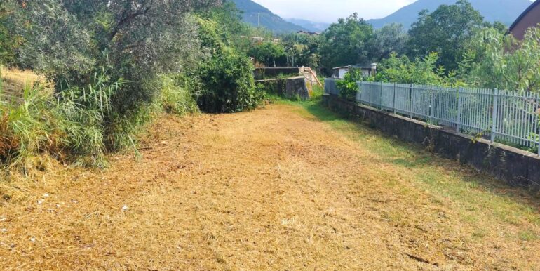 WhatsApp Image 2026-08-24 at 17.51.48 (5)